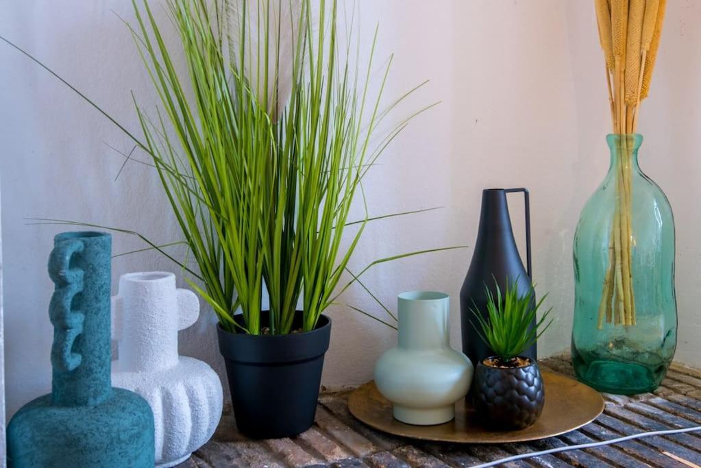 Le Botanica Daire Angers Dış mekan fotoğraf